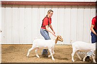 LCFAIR15-4942.jpg