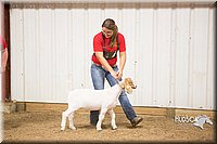 LCFAIR15-4944.jpg