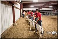 LCFAIR15-4999.jpg