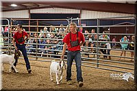 LCFAIR15-5001.jpg