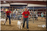 LCFAIR15-5002.jpg