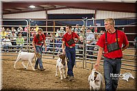 LCFAIR15-5003.jpg