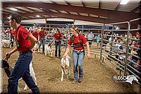 LCFAIR15-5005.jpg