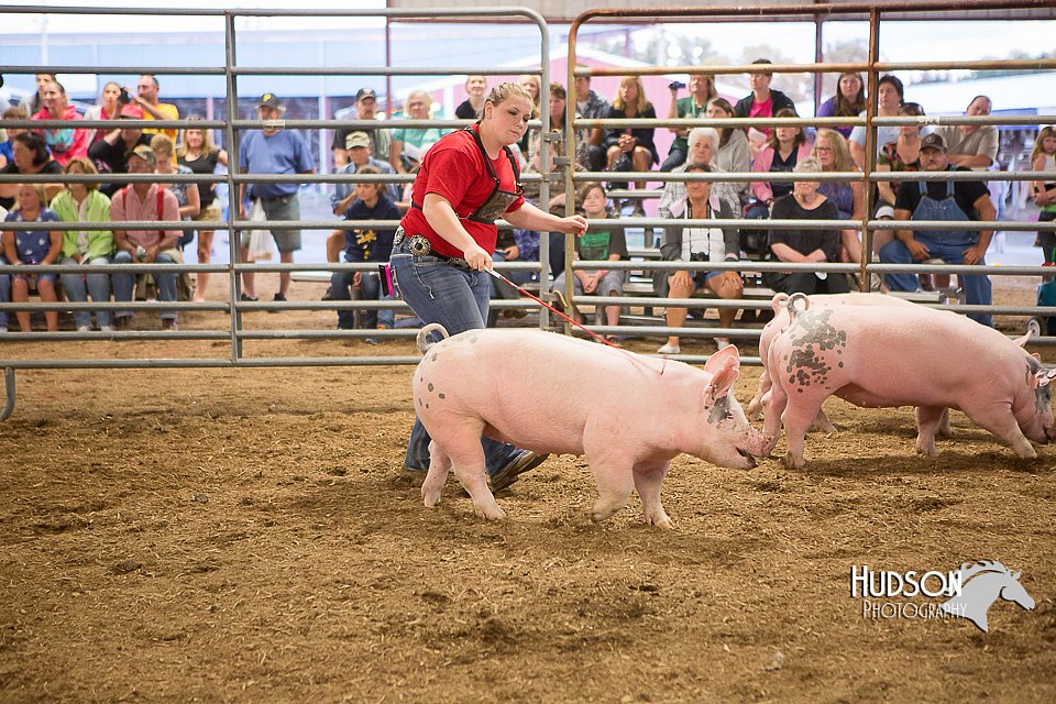 LCFAIR15-4624-2.jpg