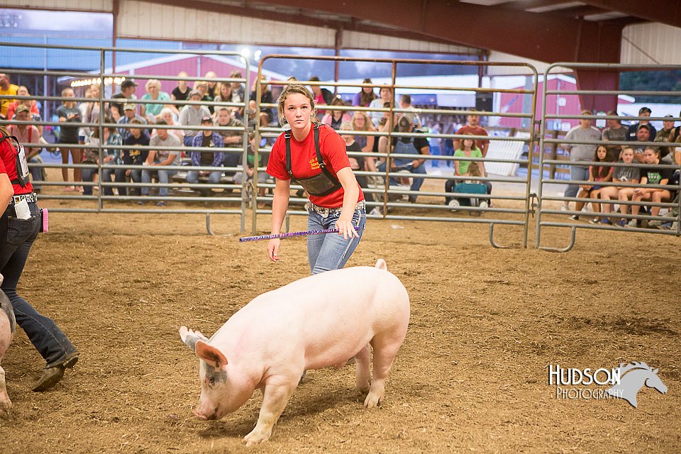 LCFAIR15-4723.jpg