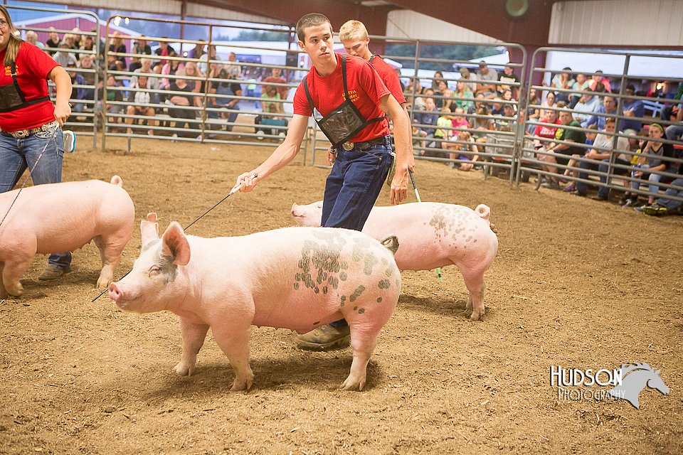 LCFAIR15-4728.jpg