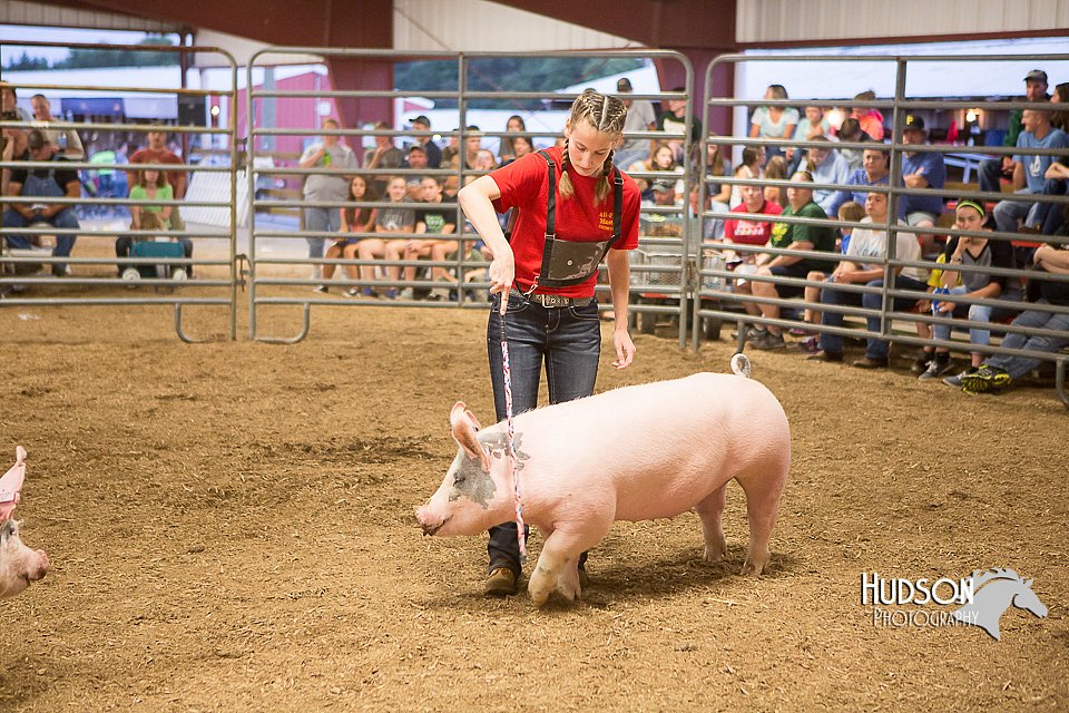 LCFAIR15-4730.jpg