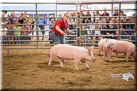 LCFAIR15-4622-2.jpg