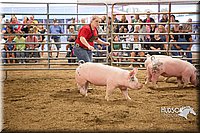 LCFAIR15-4623-2.jpg