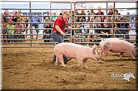 LCFAIR15-4624-2.jpg