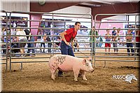 LCFAIR15-4625-2.jpg