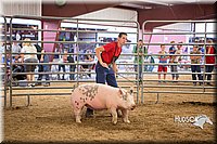 LCFAIR15-4626-2.jpg