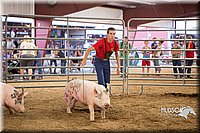 LCFAIR15-4627-2.jpg