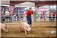 LCFAIR15-4628-2.jpg