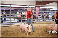 LCFAIR15-4629-2.jpg