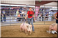 LCFAIR15-4630-2.jpg