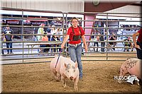 LCFAIR15-4631-2.jpg