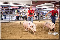 LCFAIR15-4632-2.jpg