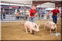 LCFAIR15-4633-2.jpg