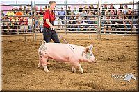 LCFAIR15-4637-2.jpg