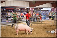 LCFAIR15-4719.jpg