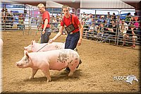 LCFAIR15-4726.jpg