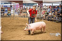 LCFAIR15-4730.jpg