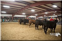 LCFAIR15-5010.jpg