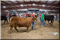 LCFAIR15-5014.jpg