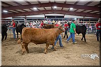 LCFAIR15-5015.jpg