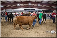 LCFAIR15-5016.jpg