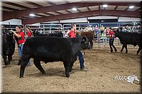 LCFAIR15-5019.jpg