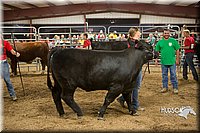 LCFAIR15-5024.jpg