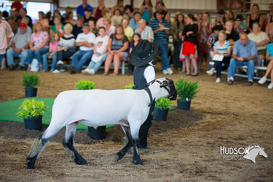 LCFAIR15-6752.jpg