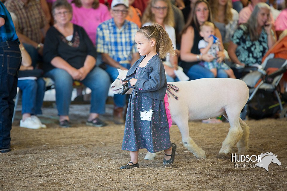 LCFAIR15-6754.jpg