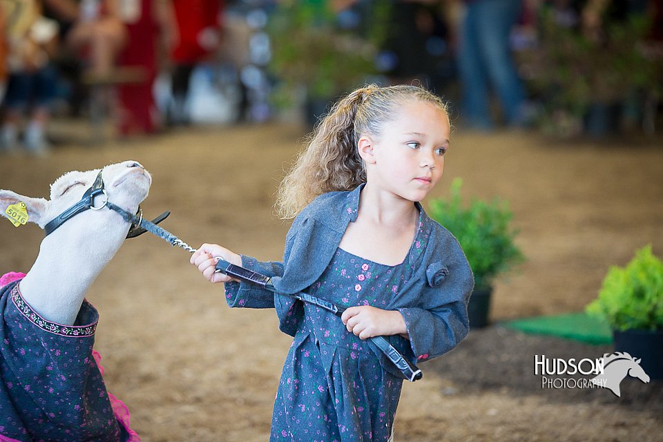 LCFAIR15-6760.jpg