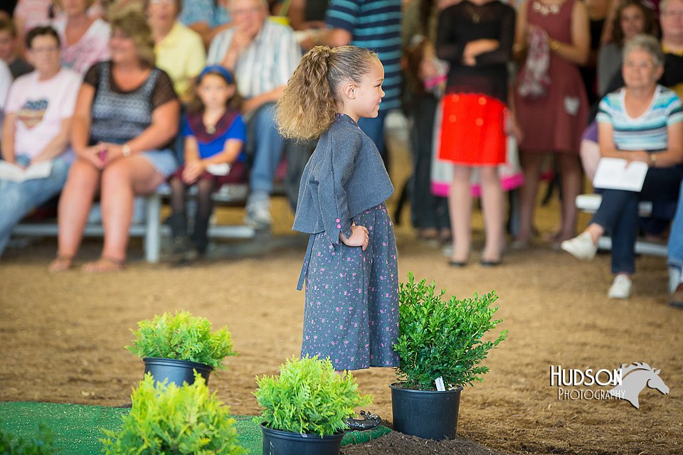 LCFAIR15-6762.jpg