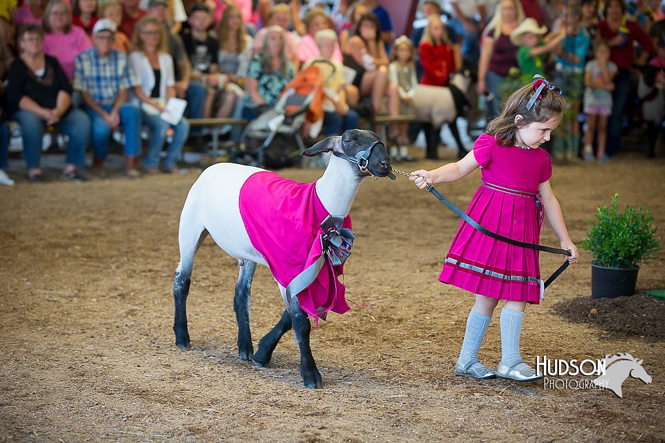 LCFAIR15-6815.jpg