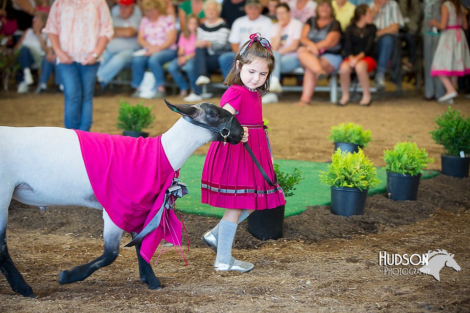 LCFAIR15-6817.jpg