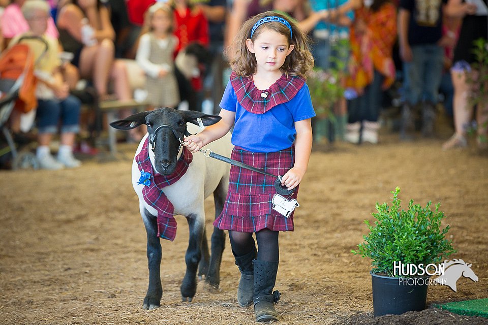 LCFAIR15-6820.jpg