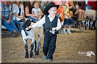 LCFAIR15-6736.jpg