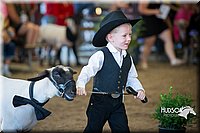 LCFAIR15-6738.jpg