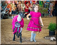 LCFAIR15-6800.jpg