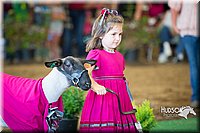 LCFAIR15-6801.jpg