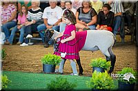 LCFAIR15-6803.jpg