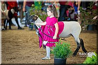 LCFAIR15-6811.jpg