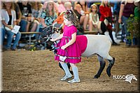 LCFAIR15-6812.jpg