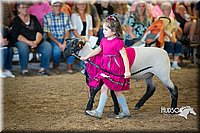 LCFAIR15-6813.jpg