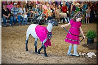 LCFAIR15-6815.jpg