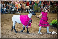 LCFAIR15-6816.jpg